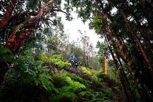 BIB: 
                            <button type="button" onclick="openModal(26202011)" class="btn btn-primary btn-sm float-right btn-popup" data-toggle="modal" data-target=".modal-high-quality">
                        <i class="fas fa-shopping-cart"></i> Add to Cart
                    </button>
                                            <button type="button" onclick="isThisMe(26202011, true)" class="btn btn-success btn-sm float-right btn-popup btn-isme hidden" data-toggle="tooltip" data-placement="bottom" title="นี่คือรูปของคุณใช่ไหม คลิกที่นี่เพื่อเอาเข้าอัลบั้ม">
                        <i class="fas fa-plus"></i> Add to album
                    </button>
                    <button type="button" onclick="isThisMe(26202011, false)" class="btn btn-warning btn-sm float-right btn-popup btn-isnotme hidden">
                        <i class="fas fa-ban"></i> Remove from album
                    </button>